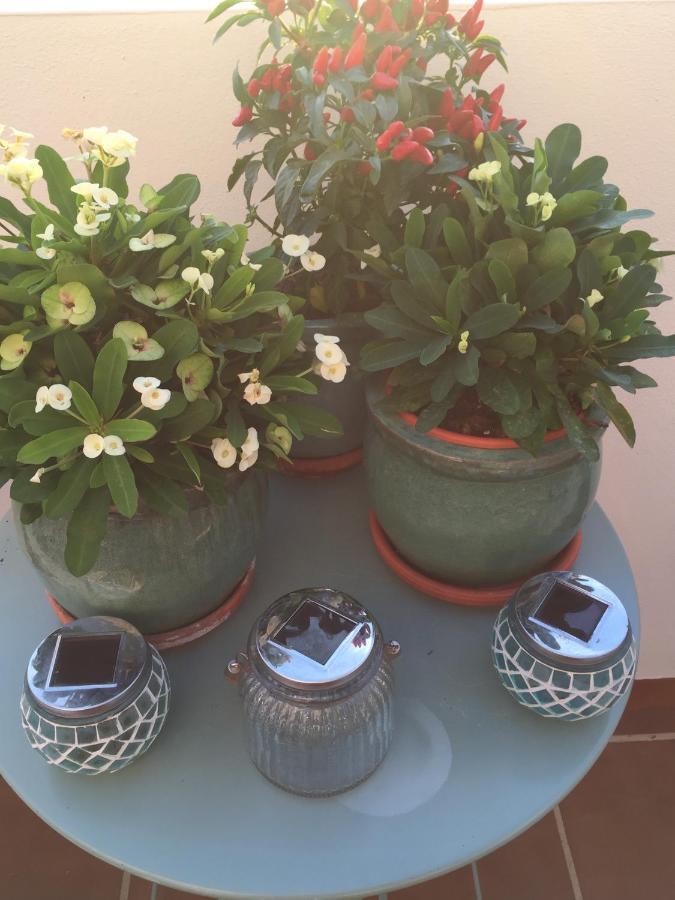 B&B Casa Louisa, Torre Del Mar- Valleniza Velez Malaga Eksteriør billede